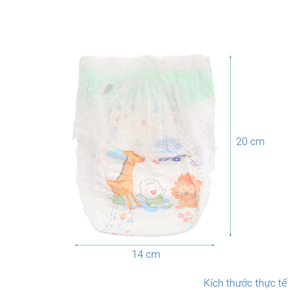 ta-quan-bobby-size-m-76-mieng-6-11-kg-6-638676132412598564
